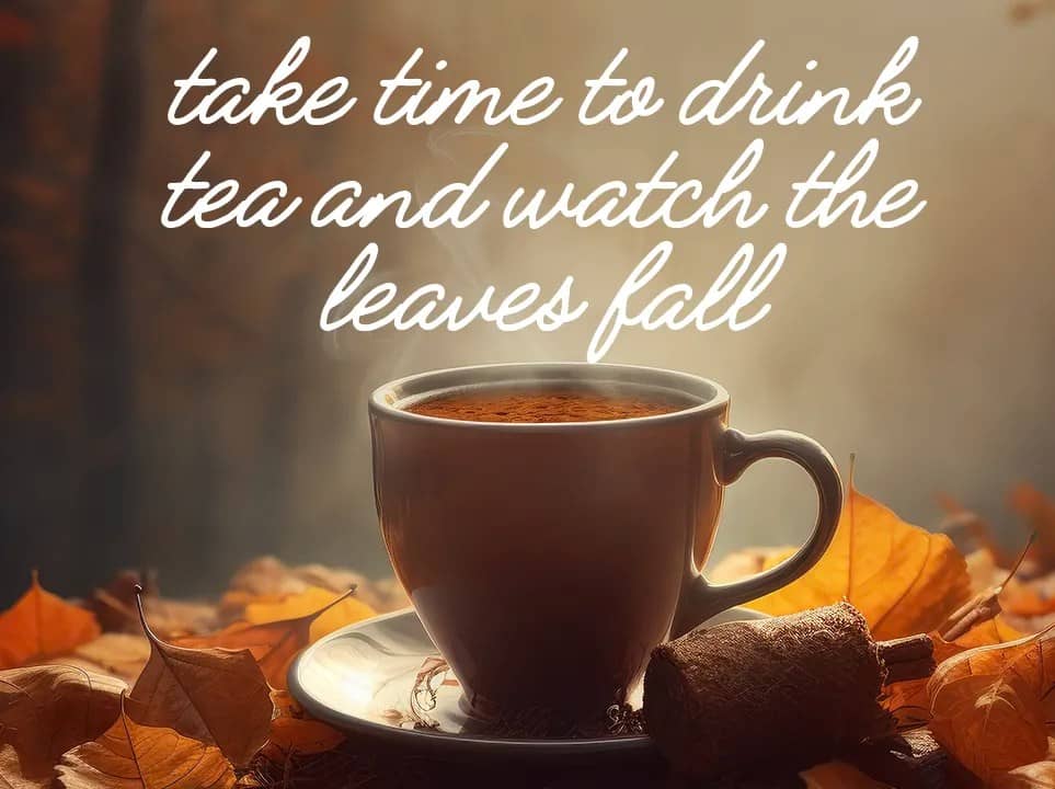 Take time to drink tea and watch the leaves fall. Tealicious Tea Company, Canada's Best Organic Tea